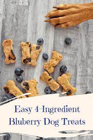 Easy 4 Ingredient Blueberry Dog Treats Sprinkles Sea Salt Recipe Dog Biscuit Recipes Easy Dog Treats Dog Treats Homemade Easy