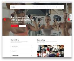 quality wordpress fitness themes for gym