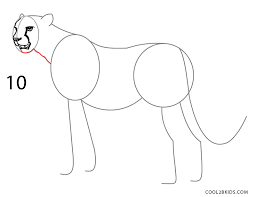 Learn how to draw an easy cheetah in just 5. How To Draw A Cheetah Step By Step Pictures