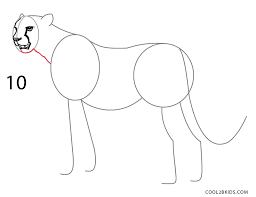 In this tutorial, i will show you how to draw a cheetah—the fastest land animal. How To Draw A Cheetah Step By Step Pictures
