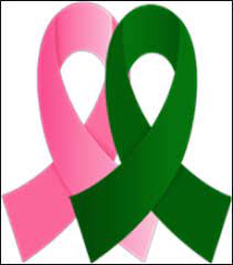 In celebration of liver cancer awareness month, we need to insist that our doctors screen us for liver cancer. Fibrolamellar Cancer Foundation Helps Lead Liver Cancer Awareness Month Fibrolamellar Cancer Foundation