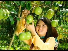 Kết quả hình ảnh cho canh dep que huong