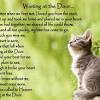 When an animal dies that has been especially close to someone here, that pet goes to rainbow bridge. Https Encrypted Tbn0 Gstatic Com Images Q Tbn And9gcsipaxcs3 Ge7ue9wzyye31b371kohhsvucucslki6f4zr Qw 7 Usqp Cau