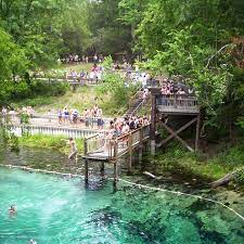 The main spring at fanning springs state park is a popular site for swimming, snorkeling and scuba diving. Florida Springs Guide Fanning Springs State Park Orlando Sentinel