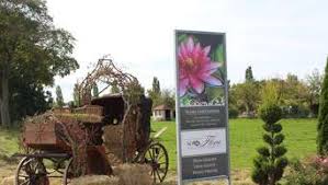 Der pflegeaufwand in den folgejahren sollte minimal sein. Gartenfachmarkt Und Gartenpark Geier In Weil Bietet Alles Fur Die Kreative Gestaltung Von Garten Terrasse Und Balkon Landsberg