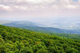 Arkansas motels arkansas hostels arkansas campgrounds casinos in arkansas arkansas green hotels arkansas beach hotels resorts in arkansas all things to do in arkansas commonly searched for in arkansas. Top 15 Of The Most Beautiful Places To Visit In Arkansas Globalgrasshopper
