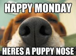 Trending images and videos related to monday! 63 Funny Monday Memes Ideas In 2021 Funny Monday Memes Monday Memes Monday Humor