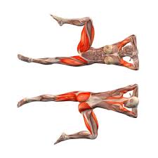 Left Turn Crocodile Pose Makarasana Left Yoga Poses Yoga Com Yoga Anatomy Yoga Muscles Yoga Fitness