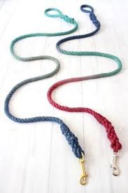 Dog Supplies Panosundaki Pin