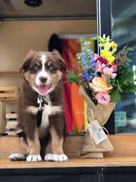 Named one of business insider's 20 most inspiring companies in america. The Flower Truck F4dtruck Twitter