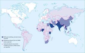 Bacillus of typhoid fever is transferred by dirty hands, by sewage, by flies. Typhoid And Paratyphoid Fever The Lancet