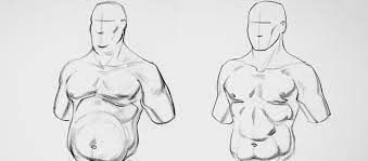 A system is an organization of varying numbers and kinds of. Review Proko Anatomy Of The Human Body Premium Course