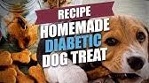 It can be extremely daunting to come to terms with this disease, but you. Homemade Food For Diabetic Dogs Cheap And Easy To Make Youtube
