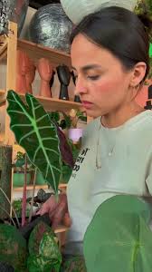 #porquemepatinaelcoco #mepatinaelcoco #humor