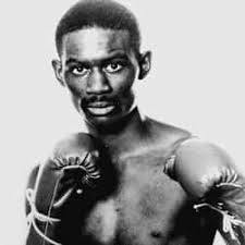 Famous Professional Boxers