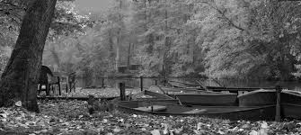 Weitere ideen zu tumblr mädchen, zeichnungen von mädchen, tumblr kunst. Fotos In Schwarzweiss Umwandeln Ivent Fotokurse Bilddatenbanken