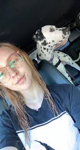 Dalmatian dog named Mattydale's profile