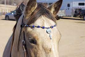 Beautiful Browbands For Horses Www Zephyrdesignz Com Love These Paarden
