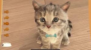 Little Kitten My Favorite Cat Meu Gato Favorito Games For Kids 3 Little Kittens Pet Kitten Care Kitten Care