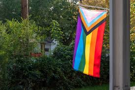 Pink for sex, red for life, orange for healing, yellow for sun, green for nature, turquoise for magic, blue for peace, and purple. The Utah Pride Center Presents 2021 Pride Week Events The Daily Utah Chronicle