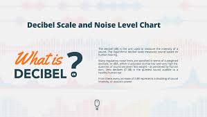 Colorful Interactive Infographic Of The Decibel Scale And