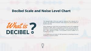 colorful interactive infographic of the decibel scale and