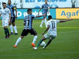 Pec do voto impresso é rejeitada na câmara reportagem local. Palmeiras X Gremio Onde Assistir Horario Escalacoes E Arbitragem