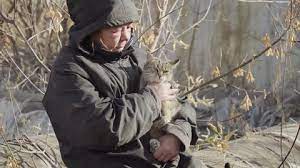 This nostalgia is ironic, fragmentary, and. Homeless Woman Vagabond In A Stock Footage Video 100 Royalty Free 1018095142 Shutterstock