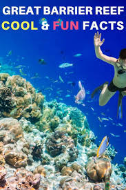 Fun And Interesting Facts About The Great Barrier Reef In Australia In 2020 Great Barrier Reef Australia Travel Guide Beach Vacation Travel