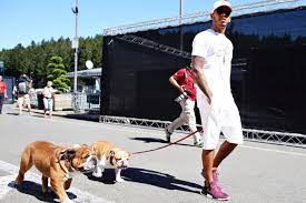 Lewis hamilton and his dog roscoe (picture: Vocal Vegan Lewis Hamilton Has Converted His Dog To A Plant Based Diet Gq