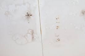 Black tape, or electrical tape, is used on electrical cords and other devices. Why Is There Black Mold On My Bathroom Ceiling Superior Restoration