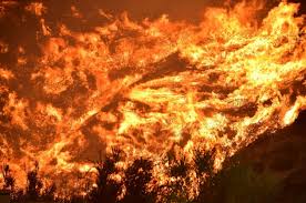 Abbiamo visto prima il fumo, poi sentito un'esplosione mentre ci stavamo allontanando, spiegano. Verbano 24 Incendi Revocato Da Oggi Lo Stato Di Massima Pericolosita