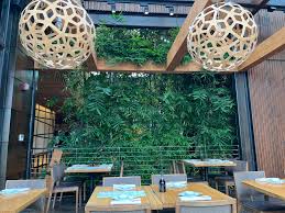 Image result for Denekia