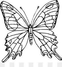 All butterfly outline clip art are png format and transparent background. Butterfly Outline Png Monarch Butterfly Outline Cleanpng Kisspng
