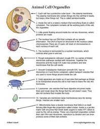 Maybe you would like to learn more about one of these? Cell Organelles Cell Organelles Animal Cell Organelles Cells Worksheet