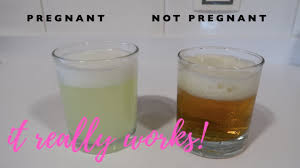 pregnancy test using urine and bleach