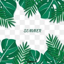 Summer Tropical Turtle Leaf Palm Tree Leaves Border Summer Tropic Leaf Png Transparent Clipart Image And Psd File For Free Download Leaf Border Palm Tree Leaves Flower Border