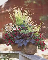 Proven Winners Fall Duo Container Garden Design Fall Container Gardens Container Gardening