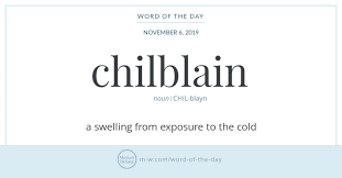 Word Of The Day Usurp In 2020 Unique Words Definitions Uncommon Words Word Of The Day
