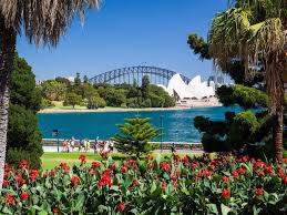 Royal Botanic Garden Sydney Royal Botanic Gardens Sydney Sydney Travel Botanical Gardens