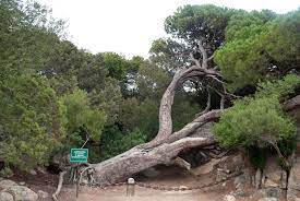 Un volume particolarmente prezioso e certamente insolito, che colma una lacuna ampia non più rinviabile. Casa Garibaldi Sardegnaturismo Sito Ufficiale Del Turismo Della Regione Sardegna