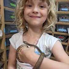 Alaska Reptile Classes