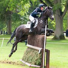 +44 (0) 7776 206 950 Black Tie Ii Oliver Townend