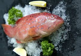 Ready to learn kacang merah and 16 other words for sayuran in american english? Produce Explained 14 Common Types Of Fish You Should Know