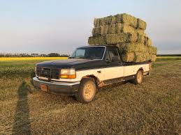 Image result for Dark Tourmaline 1999 F150