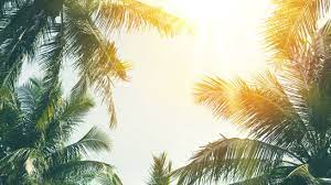 There are four seasons in a year. Summer Is Here Philippines Hot Dry Season Begins