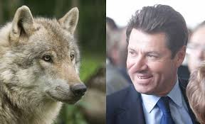 Pendant plus de 30 années, la france a connu ses paysages sans loups. Estrosi Condamne Pour Ses Propos Sur Le Retour Du Loup En France Ferus