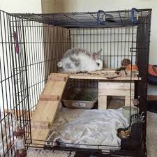 If i ever move to a bigger house i'll definitely make a detolf cage too. Pin On Tooo Cute