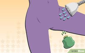 Keeping strokes light and gentle, start by shaving in the direction of the hair. How To Shave Your Pubic Hair 13 Steps With Pictures Wikihow