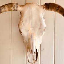 Image result for Cocoa Brown 1972 Montgomery Ward